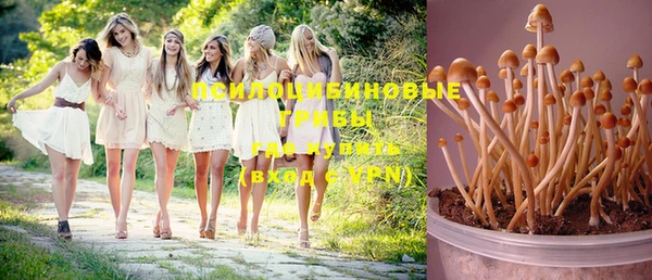 герыч Белокуриха