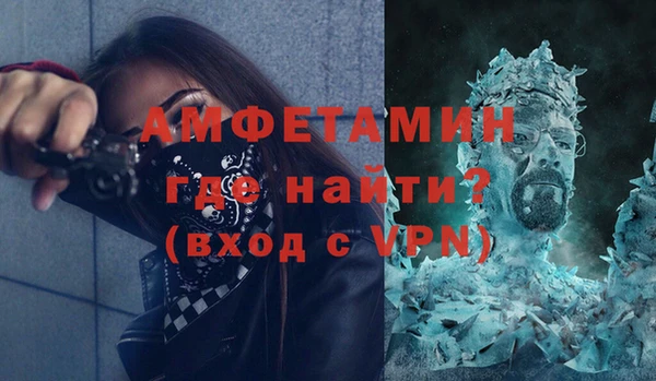 гидра Богородск
