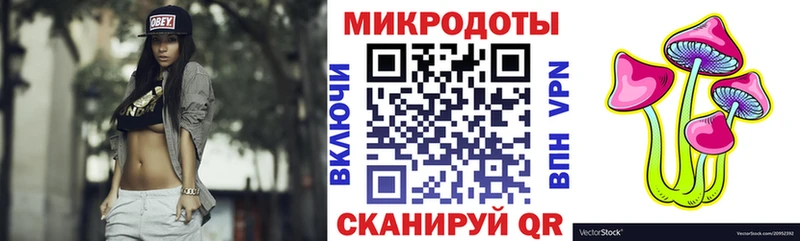 сколько стоит  Кинель  Галлюциногенные грибы Cubensis 